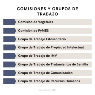 https://amsac.org.mx/wp-content/uploads/2024/02/COMISIONES-Y-GRUPOS-DE-TRABAJO-1-320x320.png