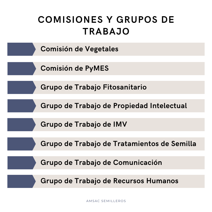 https://amsac.org.mx/wp-content/uploads/2024/02/COMISIONES-Y-GRUPOS-DE-TRABAJO-1.png