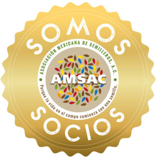 https://amsac.org.mx/wp-content/uploads/2024/02/DISTINTIVO-SOCIO-AMSAC-2-1-320x320.jpg