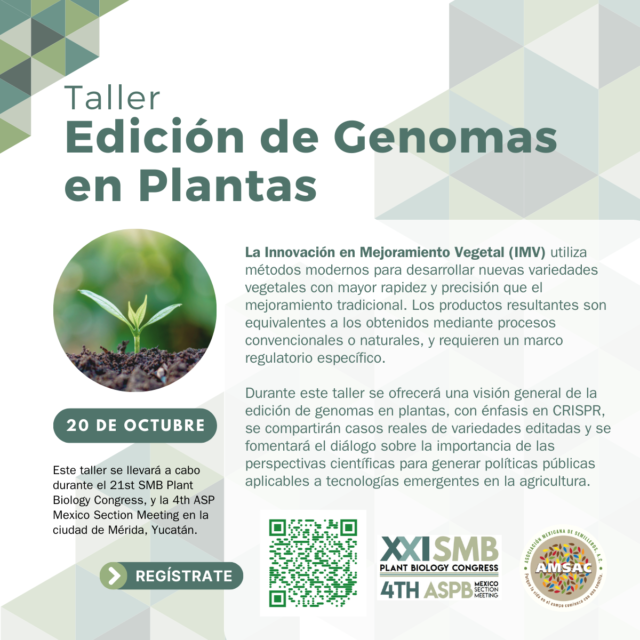 https://amsac.org.mx/wp-content/uploads/2025/08/Taller-Edición-Genomas-OK-640x640.png