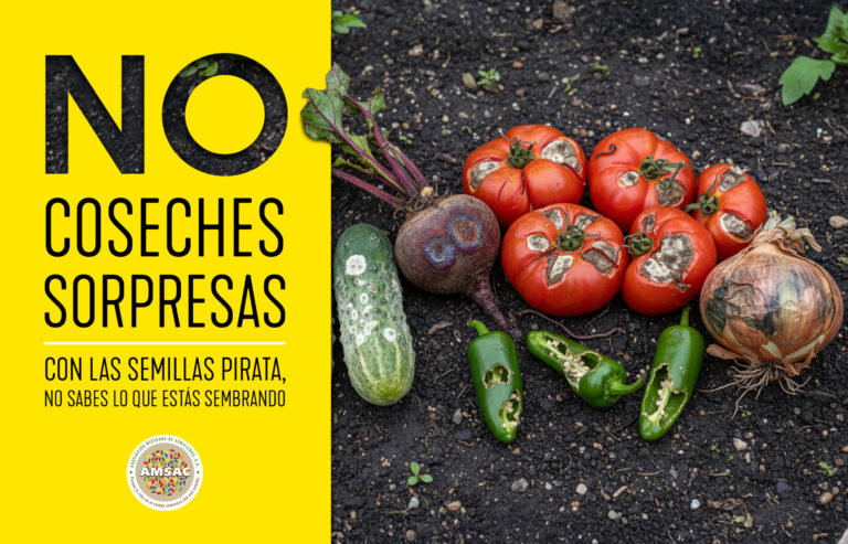 https://amsac.org.mx/wp-content/uploads/2026/02/HORTALIZAS_volante-768x493.jpg
