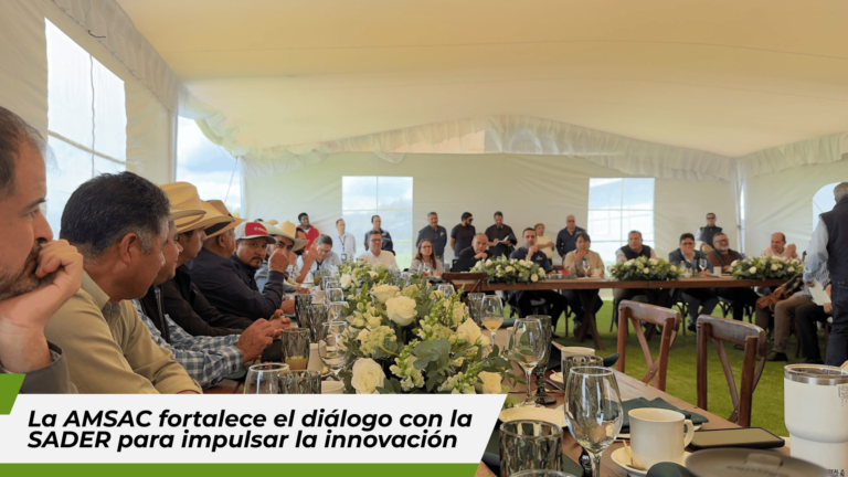 https://amsac.org.mx/wp-content/uploads/2026/10/BANNER-WEB-AMSAC-COMPRESSED-768x432.png