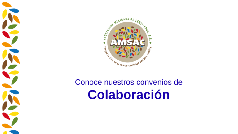 https://amsac.org.mx/wp-content/uploads/2026/10/Convenios-AMSAC-768x432.png